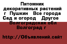 Питомник декоративных растений г. Пушкин - Все города Сад и огород » Другое   . Волгоградская обл.,Волгоград г.